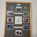 Arbeitszimmer-11.jpg