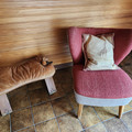 Zimmer_Jörn-05.jpg